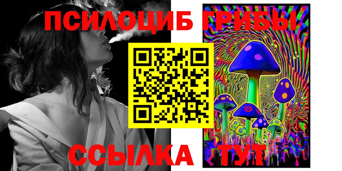 Псилоцибиновые грибы MAGIC MUSHROOMS  Вход с VPN  Реж 